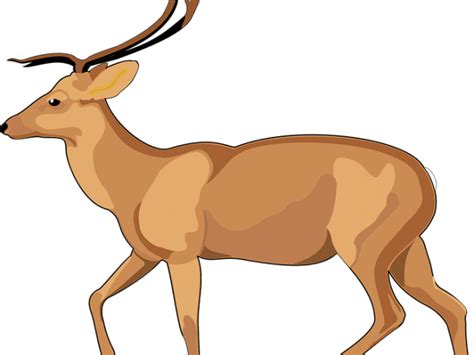 Download Dear Clipart Walking - Gazelleclip Art - Png Download ...