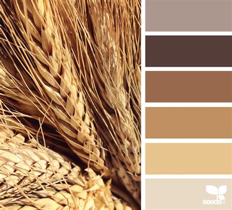 Wheat Paint Color: A Comprehensive Guide - Paint Colors