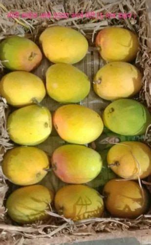 yellow devgad hapus mango carton  rs dozen  thane id