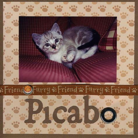 Erratic Project Junkie: Picabo Mini Album (and Video!)