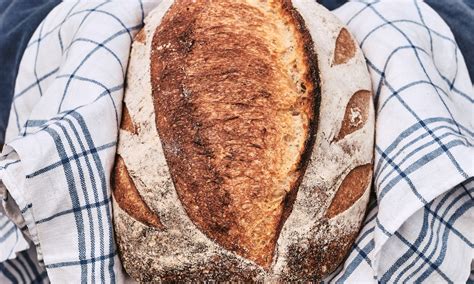 Lagom Bakery Ulladulla Could Be the Next South Coast Institution