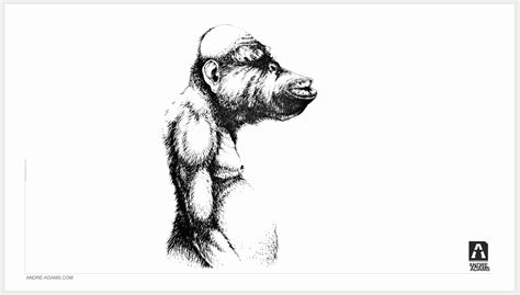 MONKEY CONCEPTS I | Andre Adams