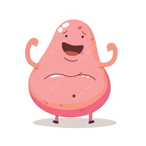 Flat Color Style Cartoon Bloated Stomach, Stomach, Human, Internal PNG