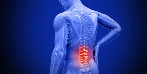 Lower Back Pain: Causes, Symptoms, And Treatments - eTaxiGo Blog