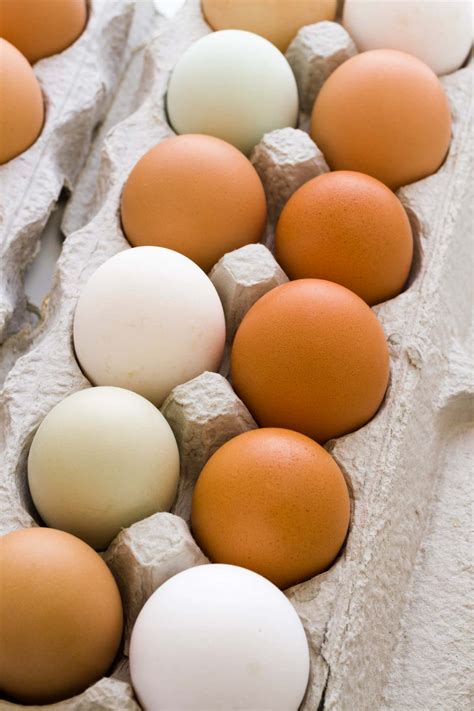 Farm Fresh vs. Store Eggs - Eggs All Ways