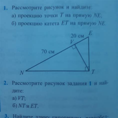 рассмотрите рисунок и найдите проекцию точки t на прямую ne - Школьные ...