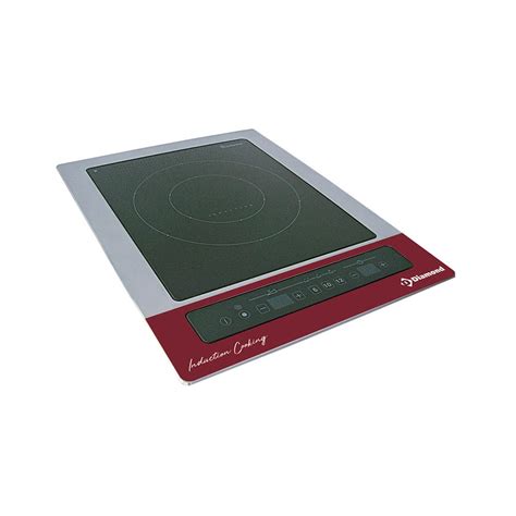 electric induction hob macspro inaternational pvtltd