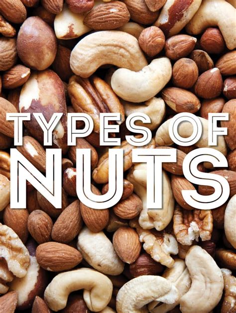 types  nuts        eat learn