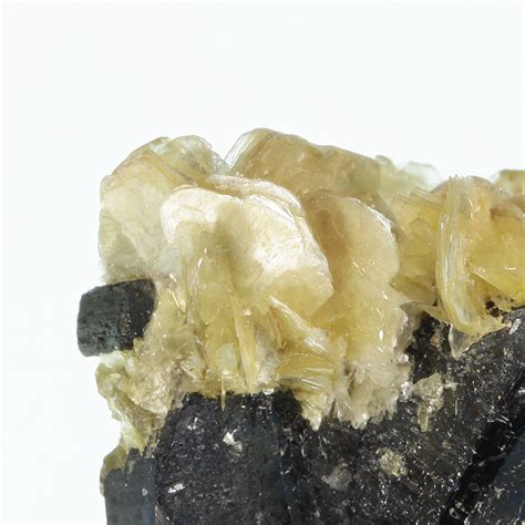 Columbite / Tantalite (twin) with Muscovite (ex Kay Robertson ...
