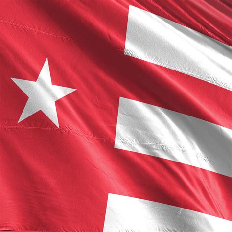 flag designs flagmaker print page