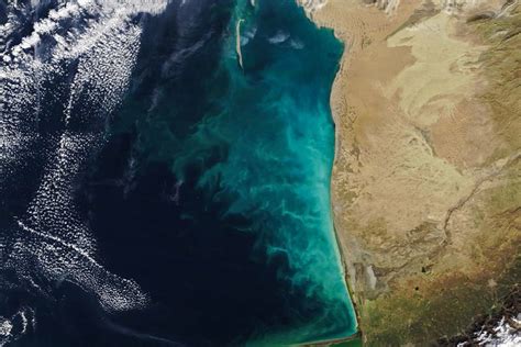 Ученые спрогнозировали опасное снижение уровня Каспийского моря к концу ...