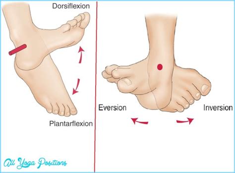 Plantar Flexion Using Your Results - AllYogaPositions.com