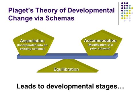 Piaget’s Theory of Cognitive Development Explained – StudiousGuy