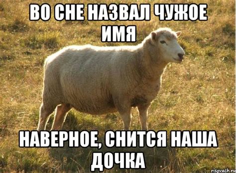 во сне назвал чужое имя наверное, снится наша дочка, Мем Типичная овца ...