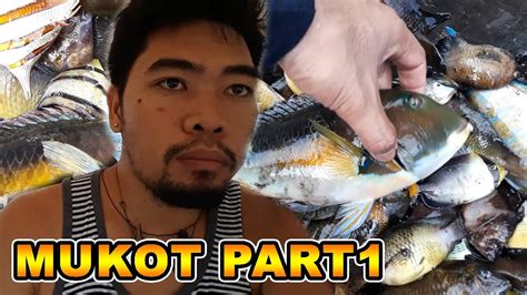 catching fish  fish net  lambat   philippines part