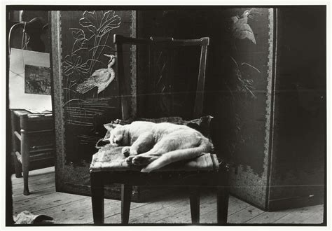 Kat op een stoel in Breitner's atelier in Amsterdam c.1890 - c.1910
