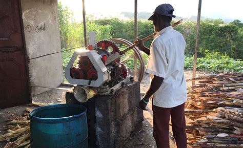 Experiencing Rural Haiti - Stories of our Journeys