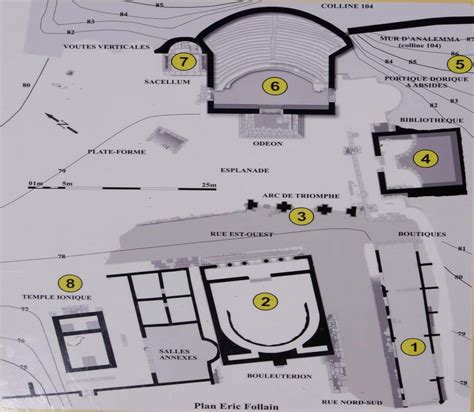 Guide to the Archeological Park of Apollonia Albania