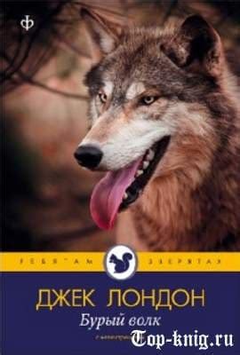 Бурый волк - ТОП КНИГ