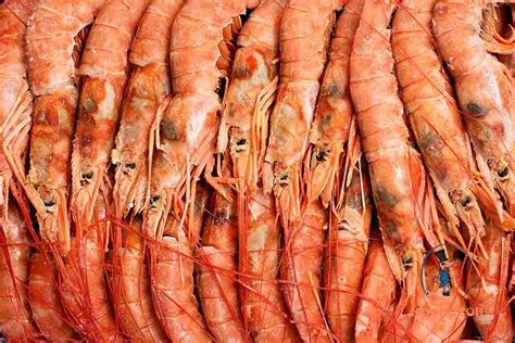 Королевские и тигровые креветки - Морепродукты и рыба – купить с ...