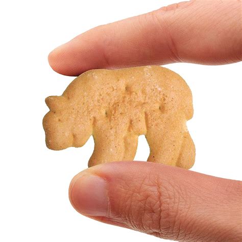 austin zoo animal crackers bulk 9