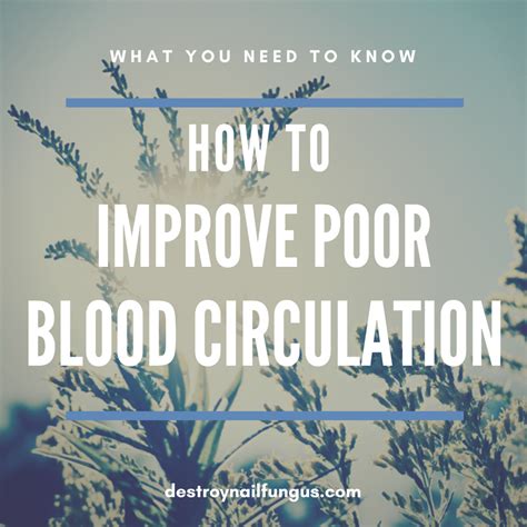 How To Improve Poor Blood Circulation: What Really Works?