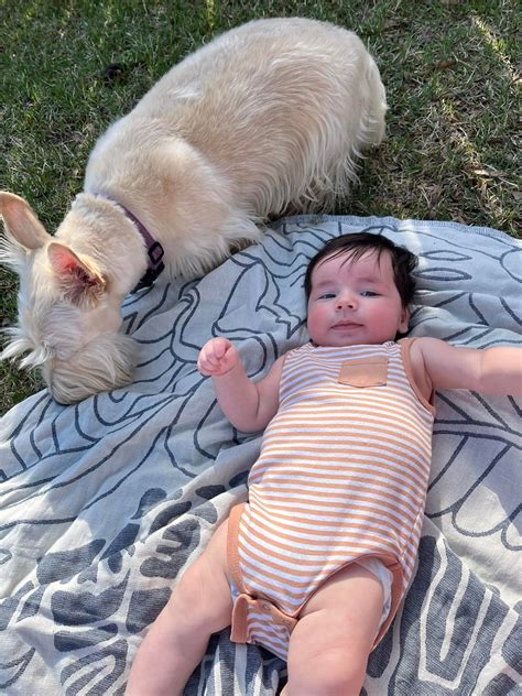 Bluegrass Scottish Terriers | Stanford KY