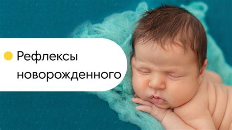 Рефлексы новорожденного. Что умеет новорожденный? Глазами младенца ...