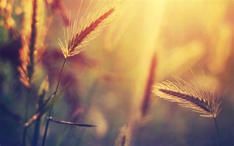 best background for macbook 1