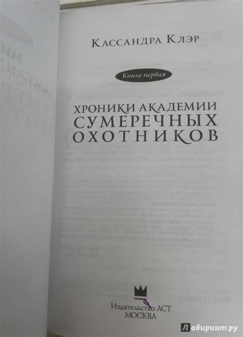 Книга: Хроники Академии Сумеречных охотников - Клэр, Бреннан, Джонсон ...