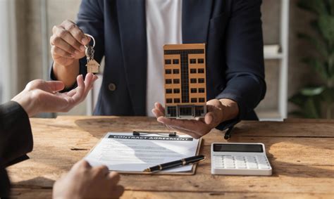 commercial leasing services vista holdings