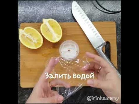 ИНСТРУКЦИЯ Как вырастить лимон🍋 Как посадить лимон👍 #какпосадитьлимон # ...