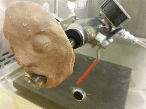 Here's the Vomiting Machine Scientists Use To Study Viruses | TIME