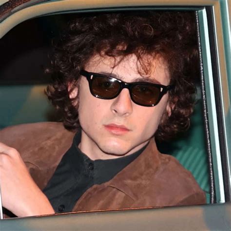 Timothée Chalamet's Performance Leaves Critics Divided Over Oscar ...