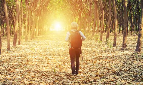 5 Often Overlooked Benefits of Being a Lone Wolf – Evolve Me