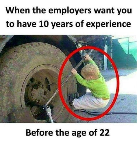 experience required ya ma donkey