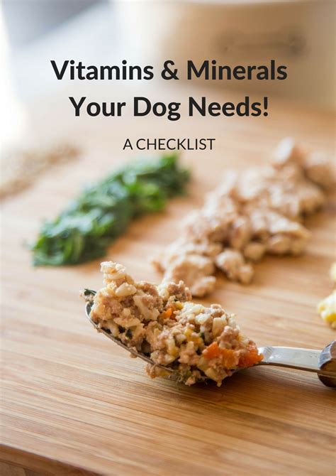 home cooked dog food supplements 1