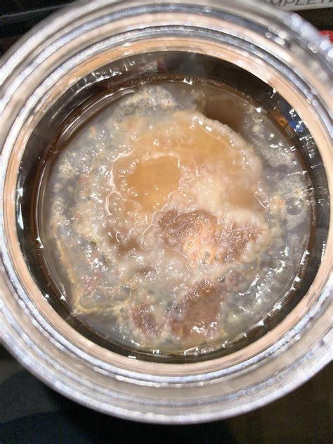 First time brewer … 1 week fermentation so far. Mold? : r/Kombucha