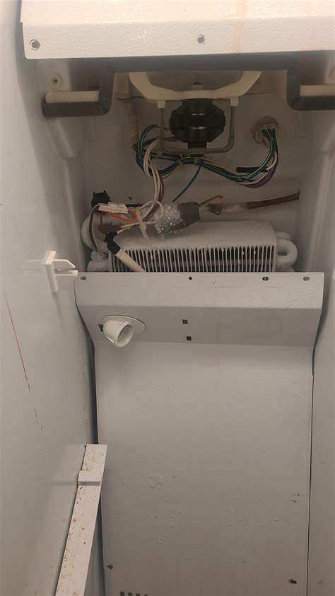 ᐉ How to Troubleshoot Your Amana Refrigerator — Prime HVAC & Appliance