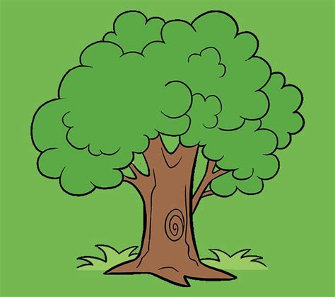 How to Draw a Cartoon Tree | Easy Step by Step Drawing Guides | Cartoon ...