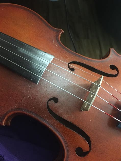 folk art fiddle   pegbox maestronet forums