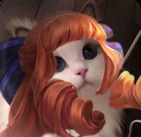 discover  mlbb cat pfps  legend cat ideas moba legends cat
