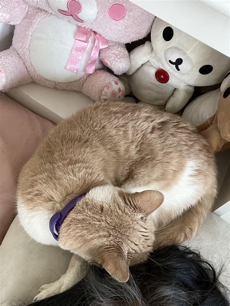 Blodvy (u/Blodvy) - Reddit