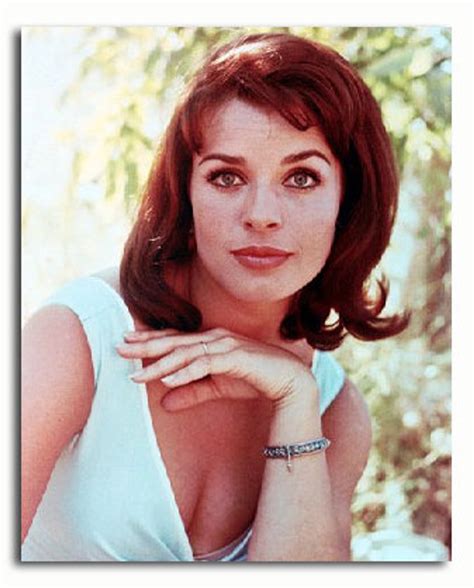 (SS3351010) Movie picture of Senta Berger buy celebrity photos and