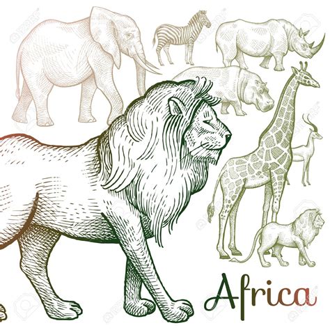 African Animal Drawing at GetDrawings | Free download