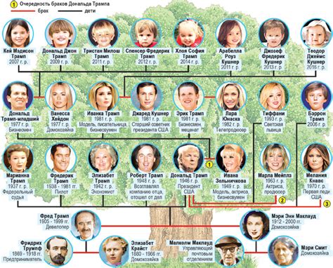 Корни Трампа. Малоизвестная биография самого эксцентричного президента ...