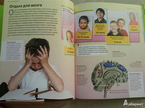 Книга: Тайны мозга - . Купить книгу, читать рецензии | Лабиринт