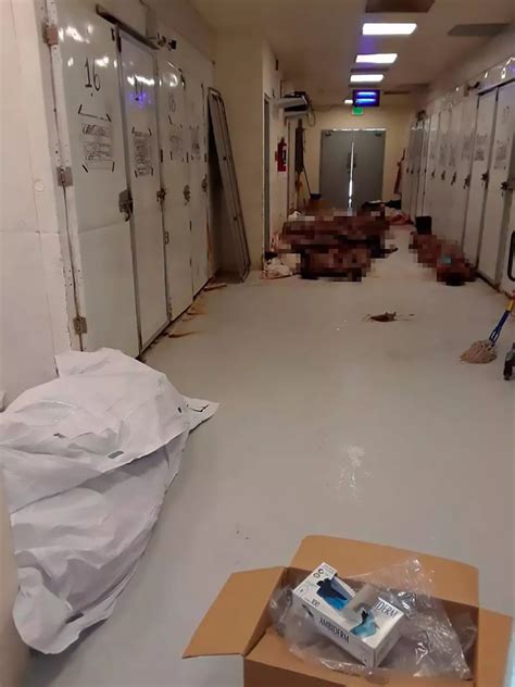 Dead bodies piled on morgue floor in the world's most violent city