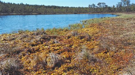 Luonto | Visit Pyhäjärviseutu