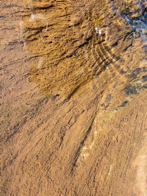 Premium Photo | Tidal pool with algae